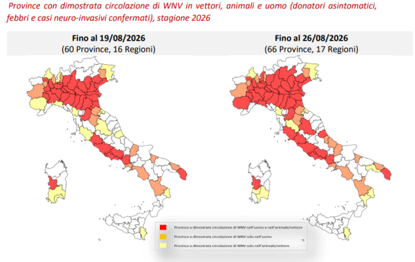 mappa virus